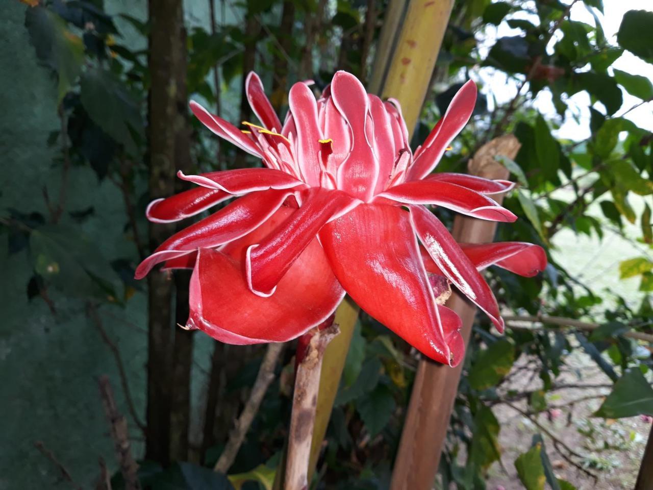 Pousada Ubatuba Itagua Екстериор снимка